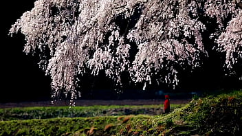 japanese mother in law love story