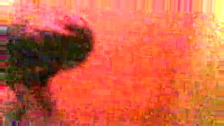 hd video sunny leone fucking creampie on red sofa