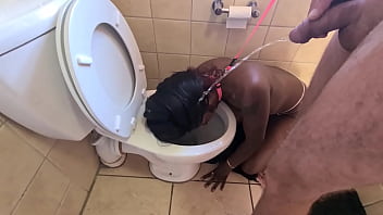 drunk girl forced blowjob in toilet