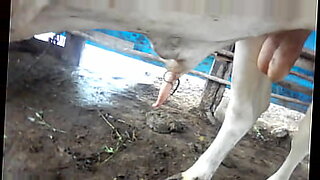indian local aunty video
