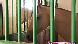 horse and girl facing porn video