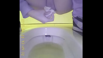 hidden toilet cam women shitting hd videos