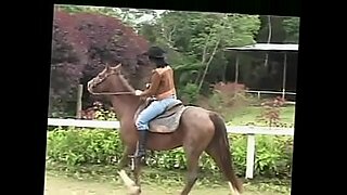 horse sex horse sexy scene back seal pack hd full