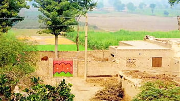 indian village toilet mms